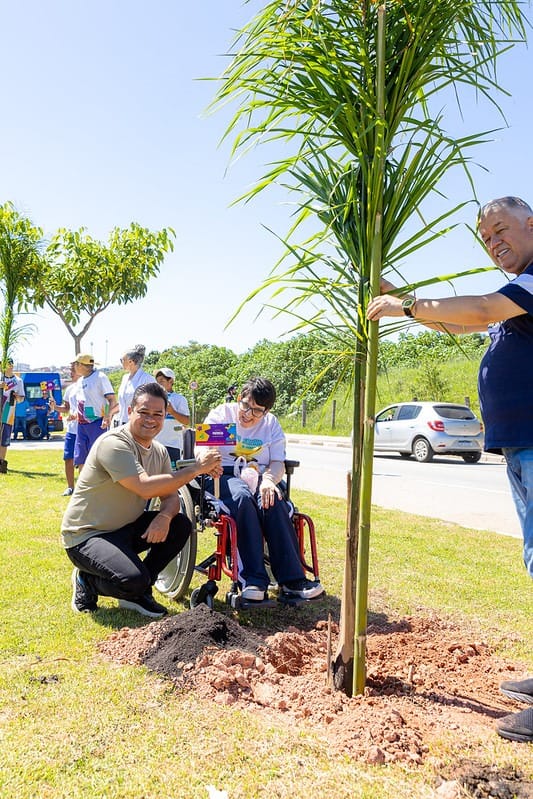 Prefeitura de Itapevi planta cerejeiras no Memorial Parque e palmeiras no Corredor Oeste